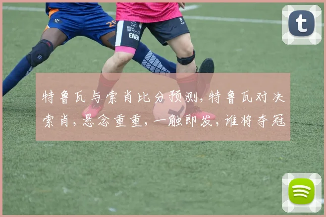 特鲁瓦与索肖比分预测,特鲁瓦对决索肖,悬念重重,一触即发,谁将夺冠